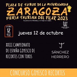 12/10 Zaragoza (11:30) Goyesco recortes PDF FILE