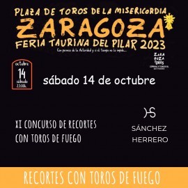 14/10 Zaragoza (23:00) Toros fuego PDF FILE