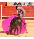 Mariscal Ruiz