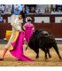 Mariscal Ruiz