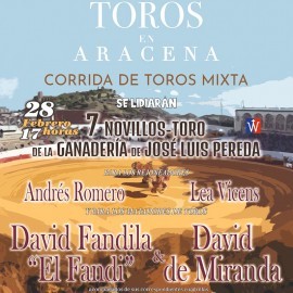 28/02 Aracena (17:00) Toros Mixta COLLECT IN BOX OFFICE