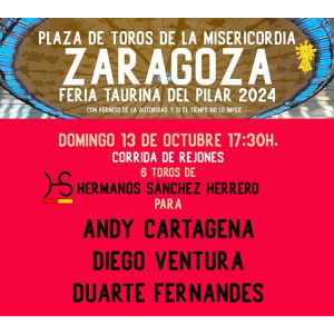 13/10 Zaragoza (17:30) Rejones PDF FILE