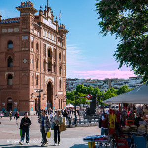Plaza de toros de Las Ventas, Madrid  | Entradas toros Las Ventas 2023