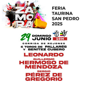 Rejones Zamora