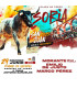 Bullfight tickets Soria - San Juan - June 29th