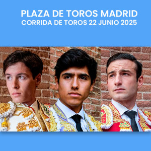 Corrida de toros en Madrid - 22 junio 2025