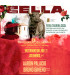 Bullfight tickets Cella - Novillada on August 24th