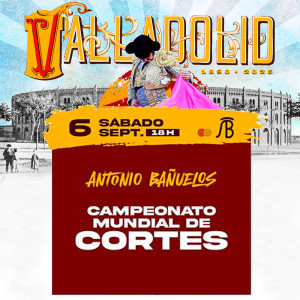 Entradas Toros Valladolid - Virgen de San Lorenzo 2025 - Septiembre 6