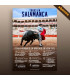 Abono Toros Salamanca - Feria Virgen de la Vega 2025 | Servitoro.com