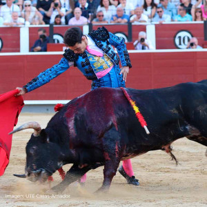 Alejandro Quesada torero