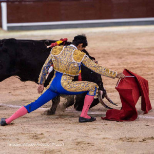 Pedro Luis: a novillero between two shores