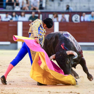 Pedro Luis: el novillero que une dos orillas