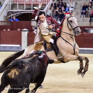 Luis Rouxinol Jr.: heritage, courage and the future of Portuguese bullfighting