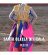 Bullfight tickets Santa Olalla del Cala - Bullfight on June
