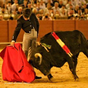 Manuel Domínguez: la pureza y el temple de un torero que nació con el capote en las manos