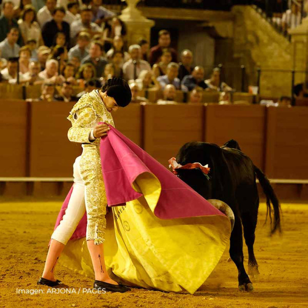 Manuel Domínguez: la pureza y el temple de un torero que nació con el capote en las manos