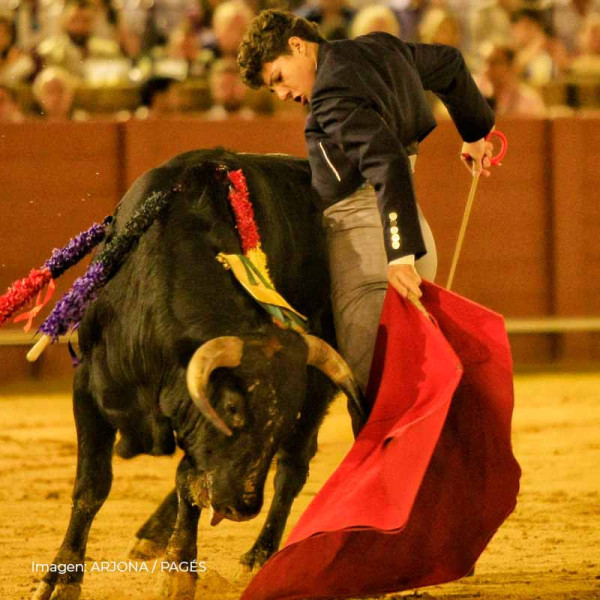 Manuel Domínguez: la pureza y el temple de un torero que nació con el capote en las manos