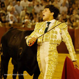 Manuel Domínguez: la pureza y el temple de un torero que nació con el capote en las manos