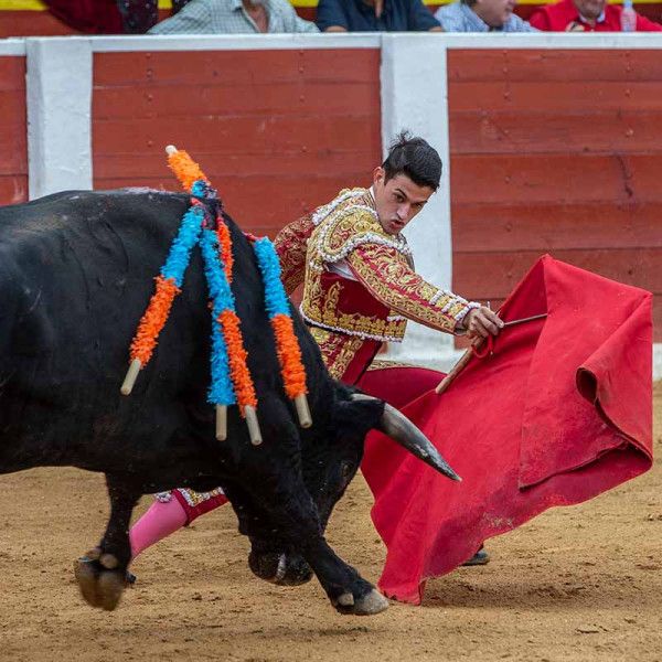 Torero Carlos Aranda