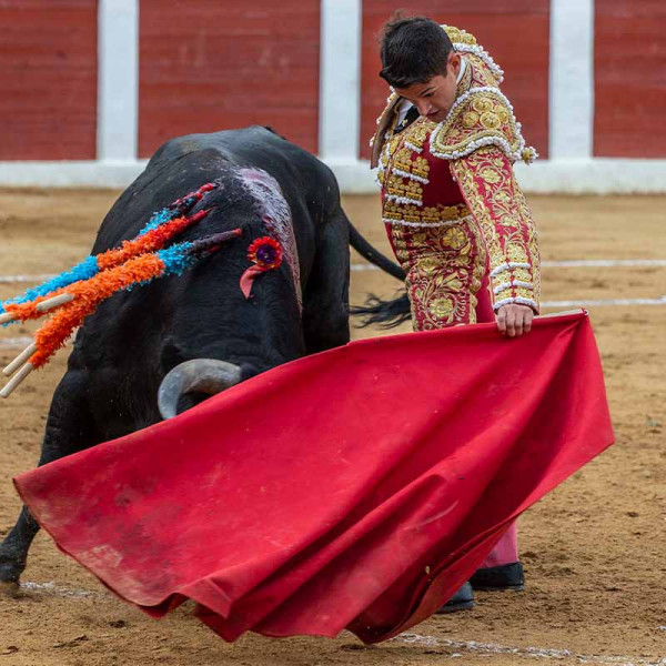 Bullfighter Carlos Aranda