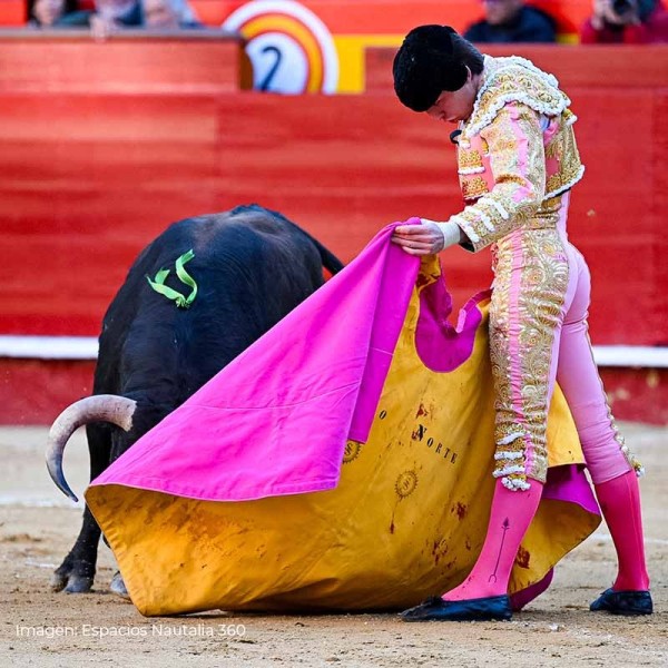 Bullfighter Julio Norte