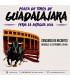 Bullfight tickets Guadalajara 2026 – September 16th - Recortes contest