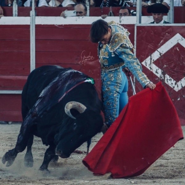 Torero Tomás González