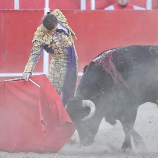 Bullfighter Andrés García
