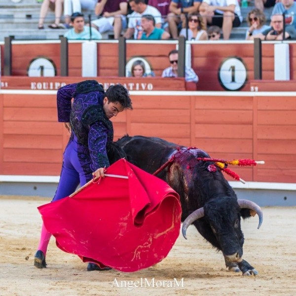 Torero Álvaro Castillo