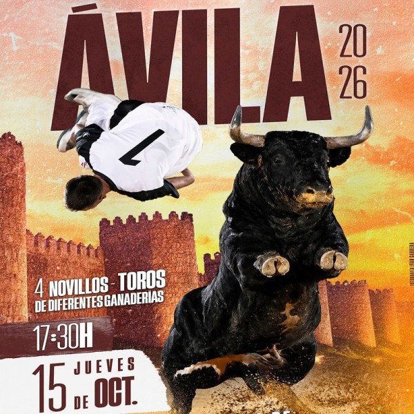 Entradas Concurso de Recortes Ávila 2026