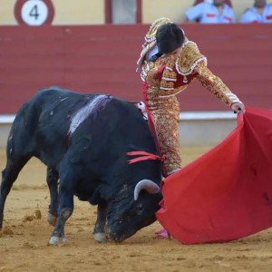 Torero Javier Fernández
