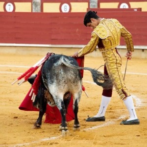 Torero Aparicio Romero
