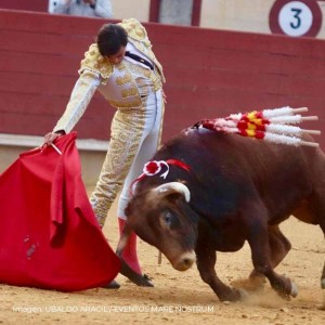 Rodrigo Villalón: Biography, Career and Achievements of the Alicante Novillero