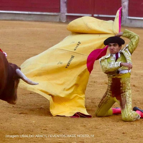 Jesús Herrera: Biography, Career and Achievements of the Peruvian Novillero