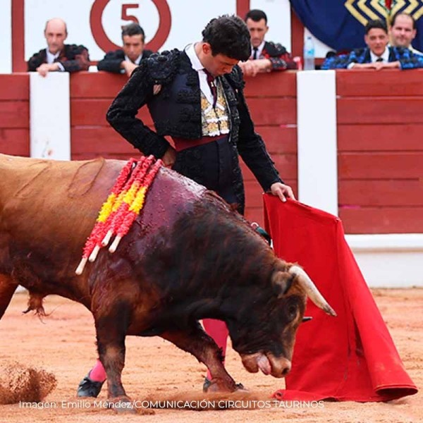 Samuel Castrejón: biografía, triunfos y trayectoria del novillero madrileño