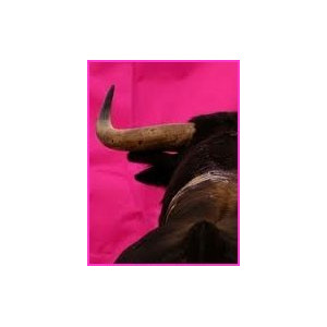 Ganadería Hermanos Gallón 