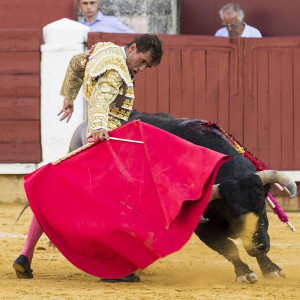 Jesús Anibal Ruiz Alcañiz