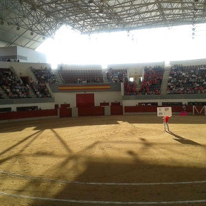 Bullring Las Rozas. Madrid