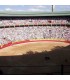 Bullring of Pamplona. Navarra