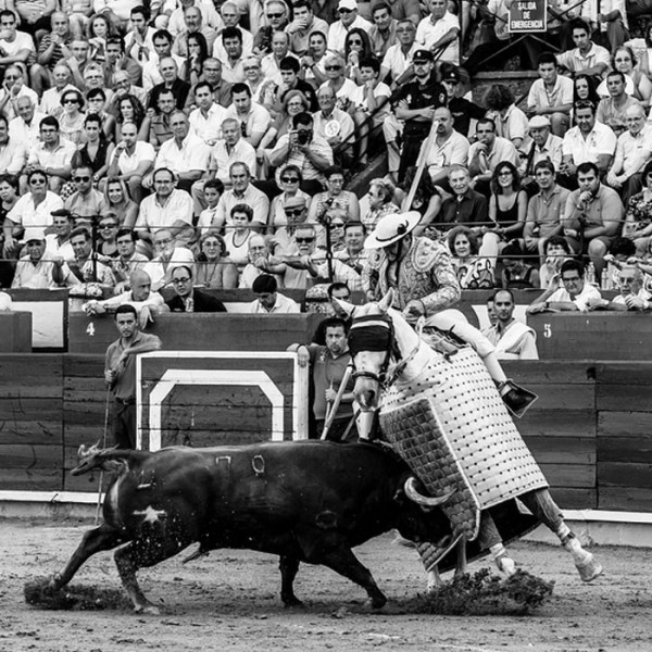 Plaza de toros de Ciudad Real. Ciudad Real