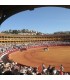 Bullring Aranjuez. Madrid