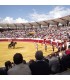 Bullring Don Benito. Badajoz