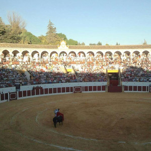 Plaza de toros de Antequera. Málaga