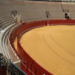 Bullring of Pozuelo de Alarcón.Madrid