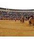 Bullring Almendralejo. Badajoz