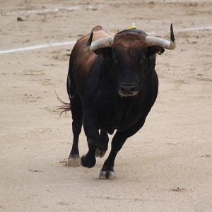 Toros del Ojailén