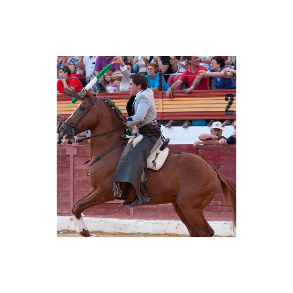 Ismael Sánchez de Vega