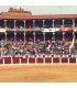 El Bibio Bullring. Gijón. Asturias