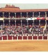 El Bibio Bullring. Gijón. Asturias