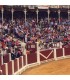 El Bibio Bullring. Gijón. Asturias